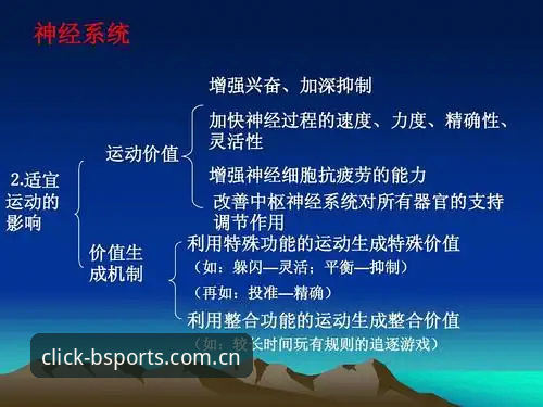 必一体育平台2026新版功能解析与b体育在线入口使用指南
